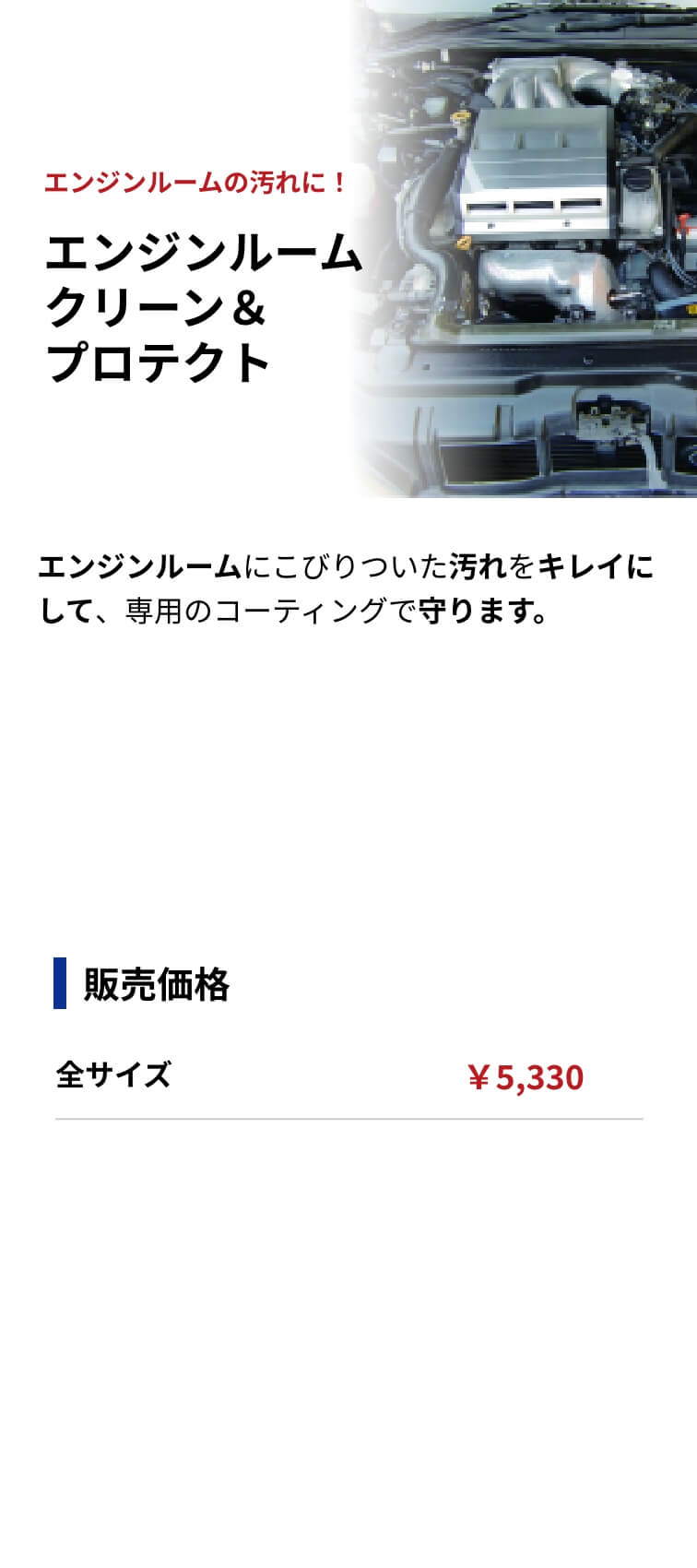エンジンルームクリーン＆プロテクト