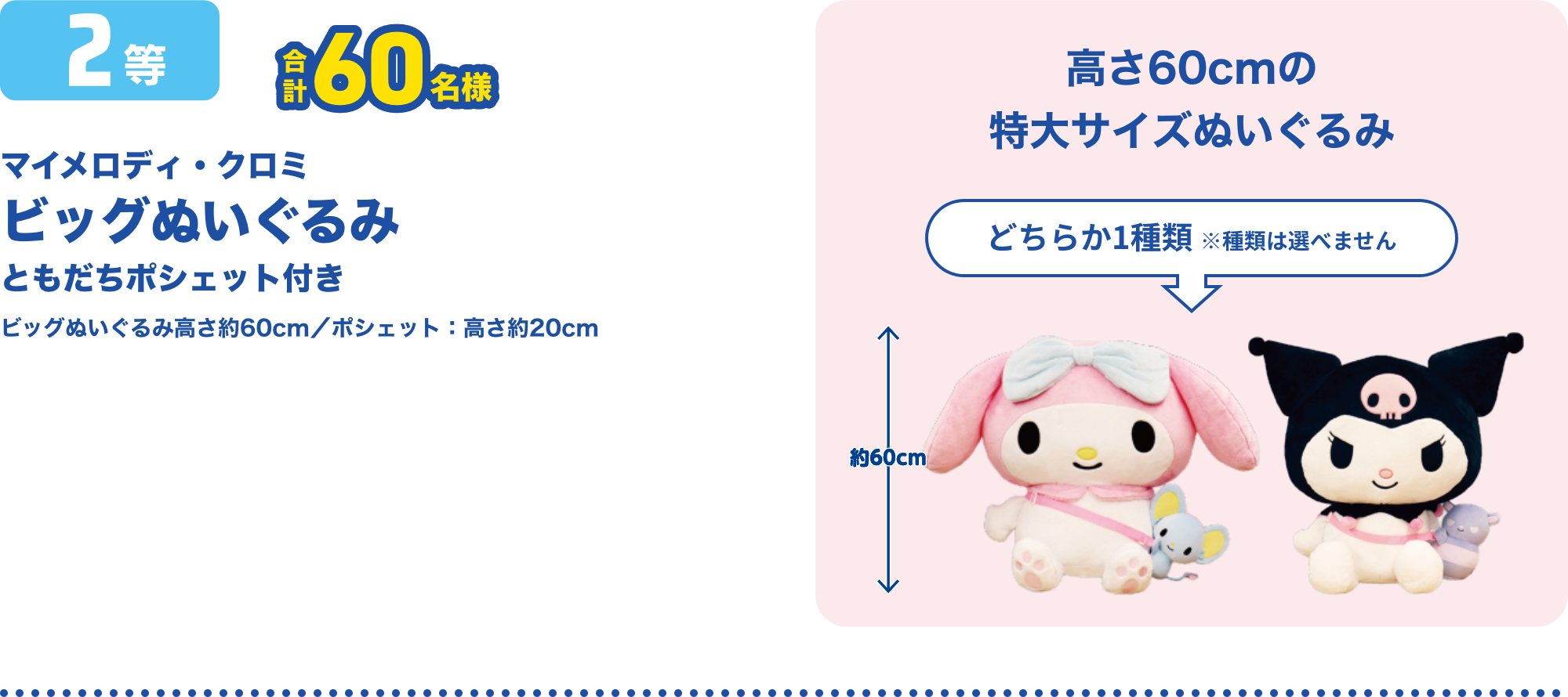 ドライブスルー洗車祭2025｜洗車をするなら宇佐美