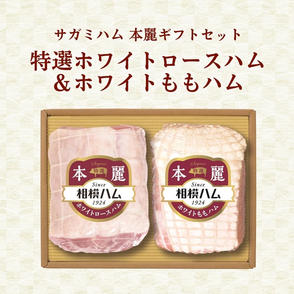 プレメモ アマガミ 101ポイントセット DENGEN デンゲン PAG専用オリジナルガスチャージセット YM-134