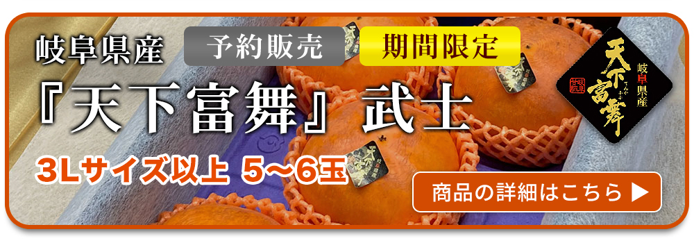 【期間限定】岐阜県産　『天下富舞(てんかふぶ)』　大将　糖度20度以上　3Lサイズ以上　3玉