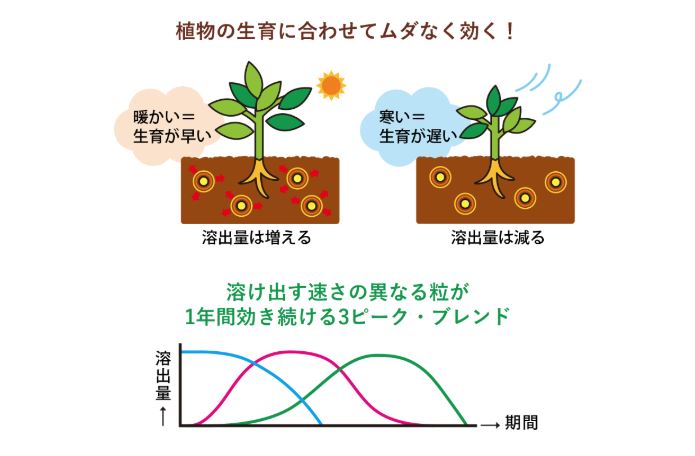 住友化学園芸 粒状化成肥料 肥料効果約1年 600g 土壌改良成分配合 マイガーデン粒状肥料 肥料焼けしない