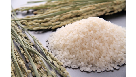 みみさん専用新潟米 コシヒカリ2kg✕11袋 22kg みみさん専用新潟米 コシヒカリ2kg✕11袋 22kg