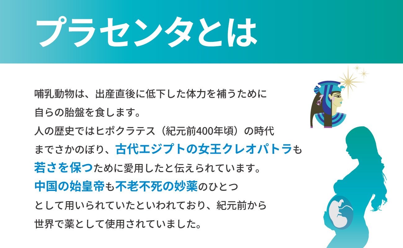 国産SPF豚胎盤100％使用 三共バイオケミカルズ SPFプラセンタ 30粒