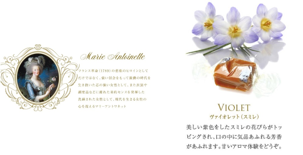 マリー・アントワネット 限定ジャケット＆カラー盤 2LP 新品 送料込 レコード マリーアントワネット | STORES