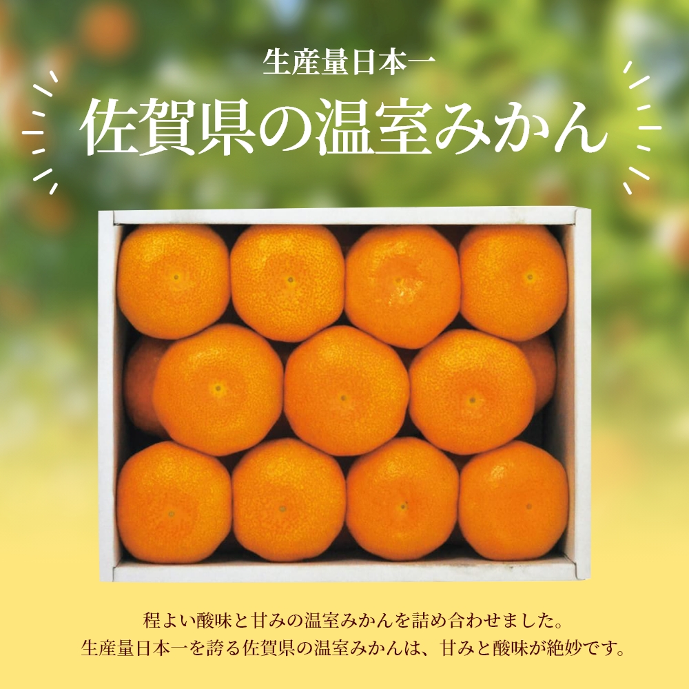 みかん せとか 匠と極 L-3L 約1.3kg 贈答用 愛媛県 中島産 みかん JA