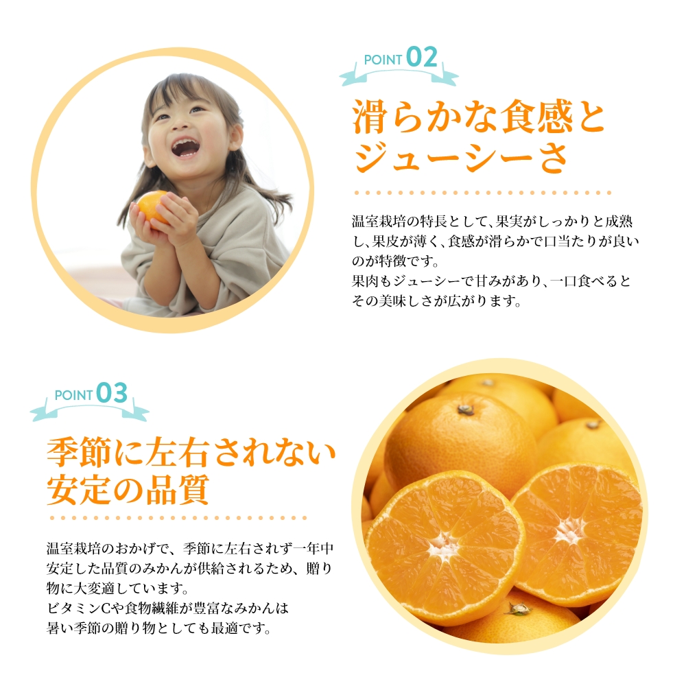 みかん せとか 匠と極 L-3L 約1.3kg 贈答用 愛媛県 中島産 みかん JA