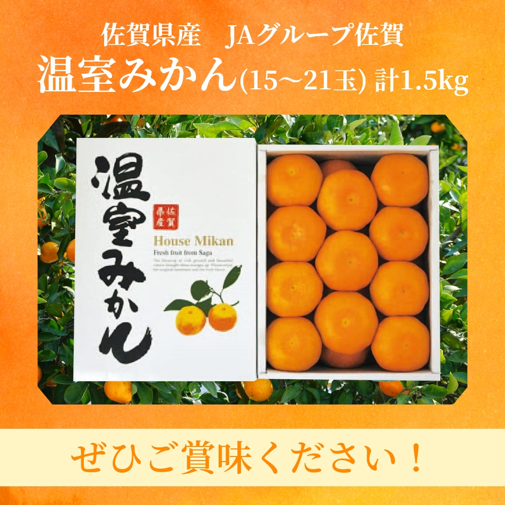 みかん 佐賀県産 JAグループ佐賀 温室みかん 計1.5kg｜うさマート