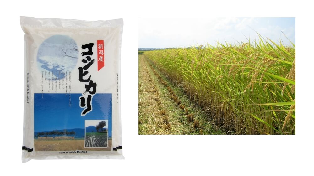新潟県産 コシヒカリ 5kg｜うさマートジャパンサービス株式会社の総合