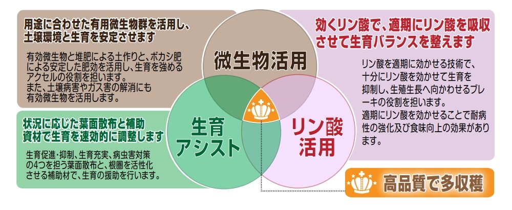 ミズホ 家庭菜園用 液肥用リン酸肥料 MリンPK液肥の素 300g｜宇佐美鉱油の総合通販サイトうさマート