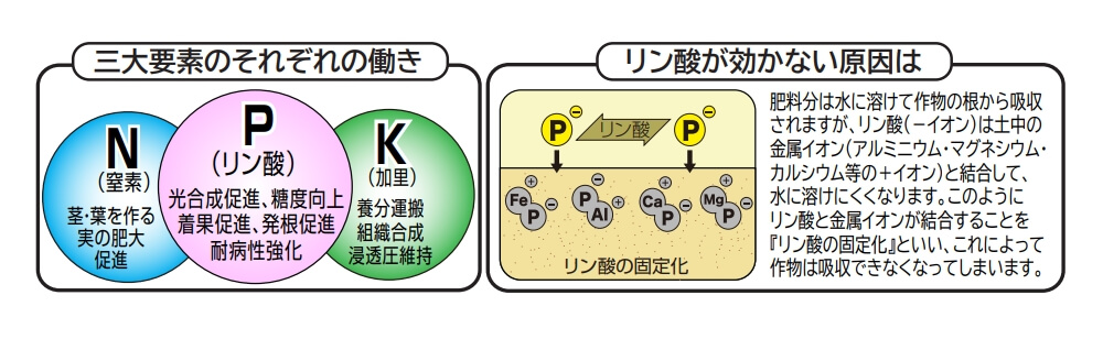 ミズホ 家庭菜園用 液肥用リン酸肥料 MリンPK液肥の素 300g｜宇佐美鉱油の総合通販サイトうさマート