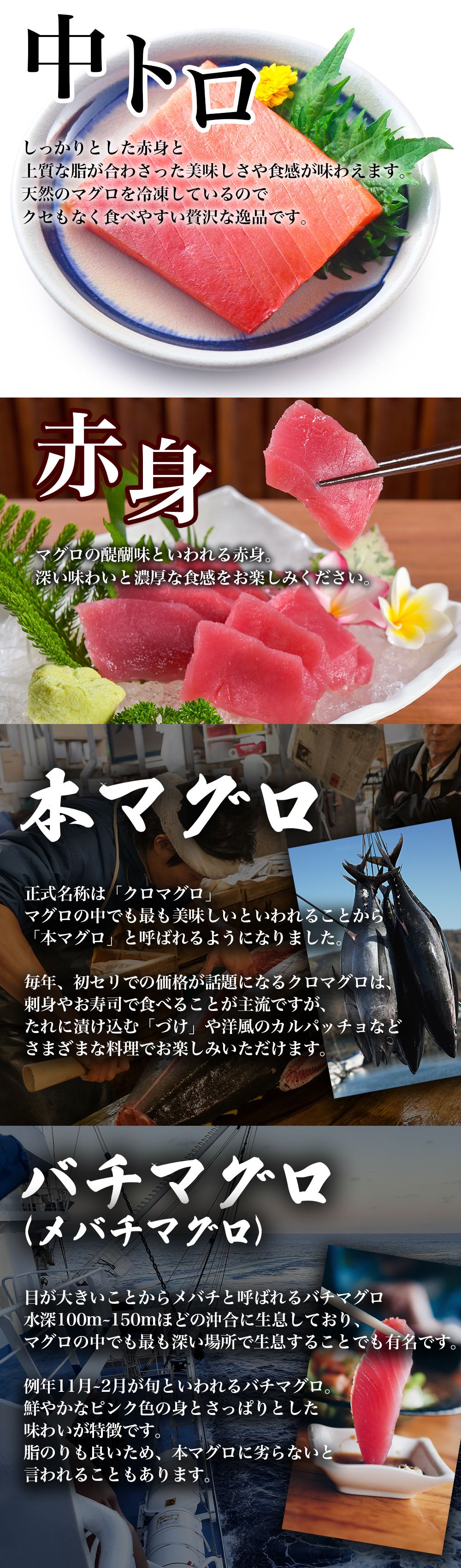 豊洲市場仲卸厳選 天然冷凍本マグロ バチマグロ食べ比べセット 800g 宇佐美鉱油のギフトサイト うさマートギフト