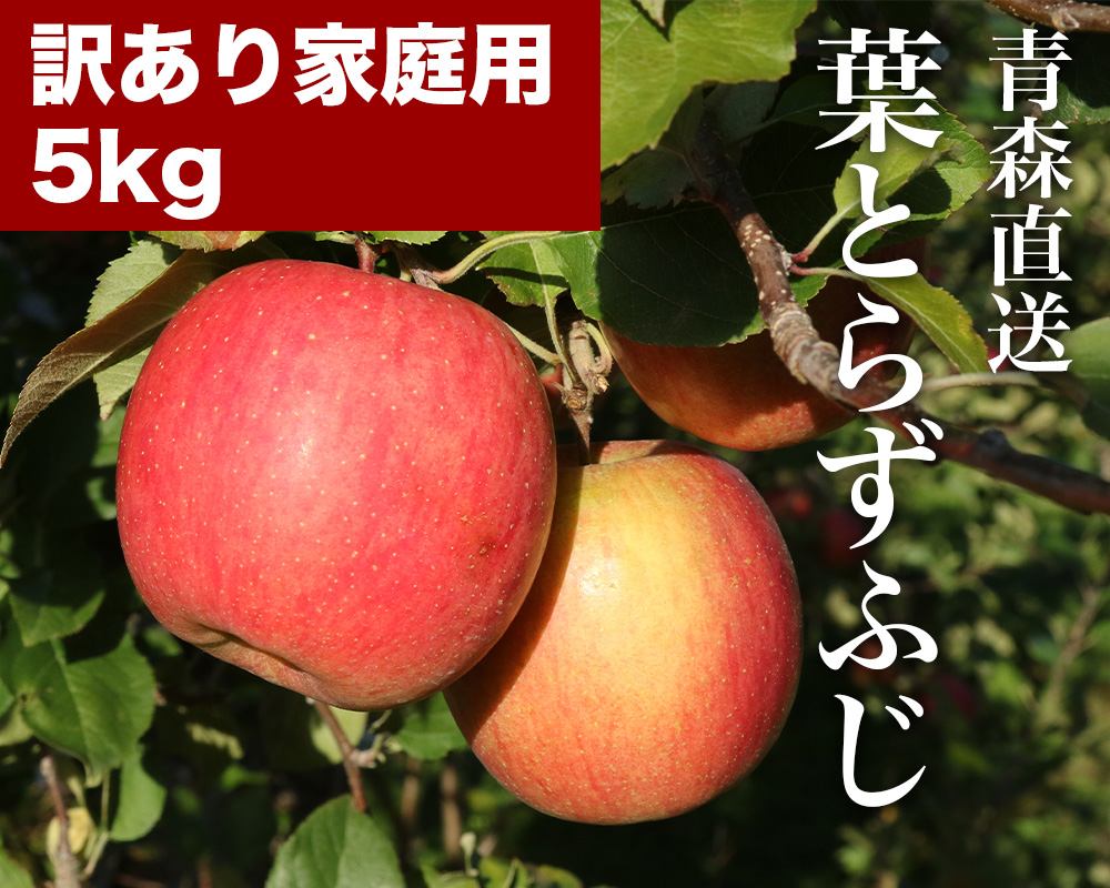 RED APPLE　【青森直送 12月上旬より出荷】葉とらずふじ　訳あり家庭用　5kgKV