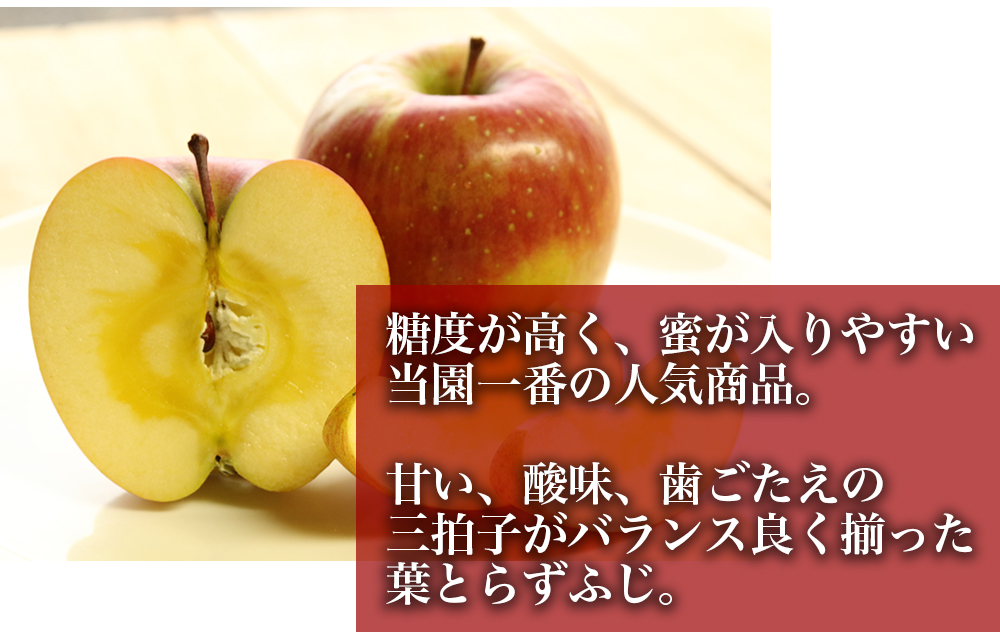 RED APPLE　【青森直送 12月上旬より出荷】葉とらずふじ　訳あり家庭用　5kg_特徴