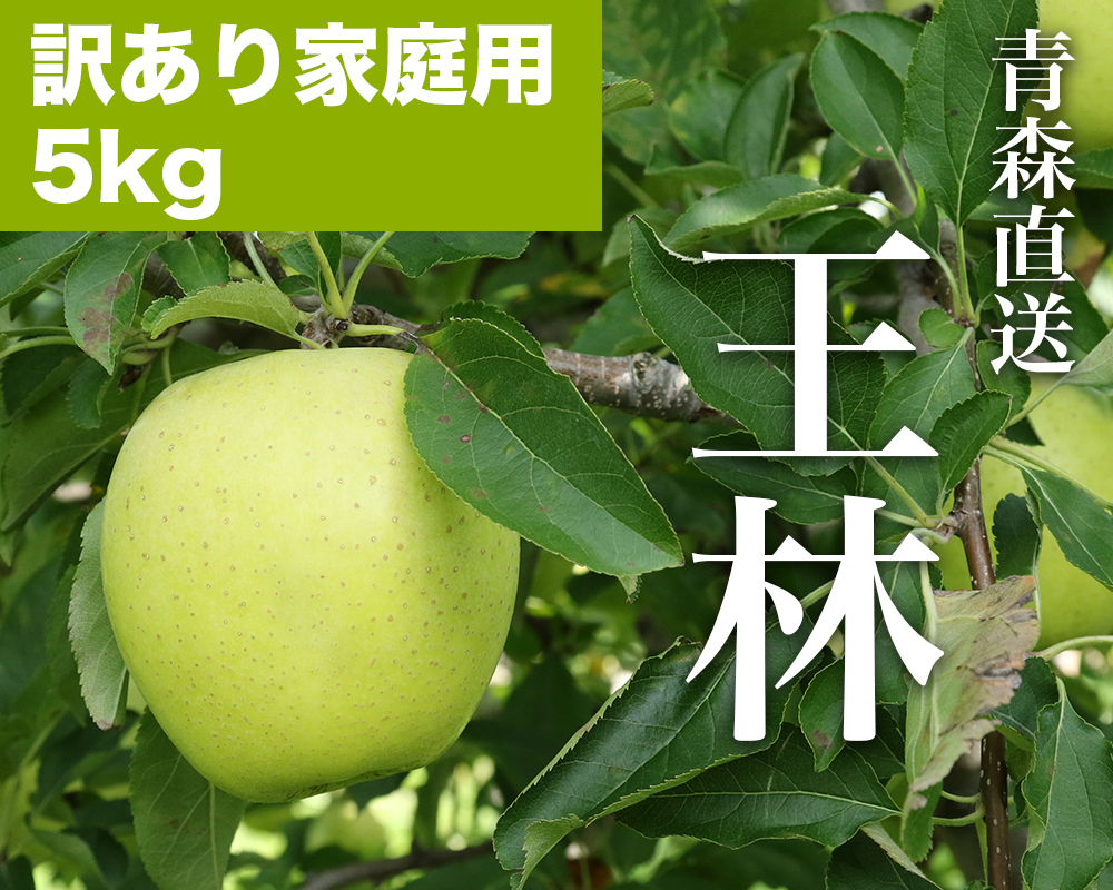 RED APPLE　【青森直送 12月上旬より出荷】王林　訳あり家庭用　5kgKV