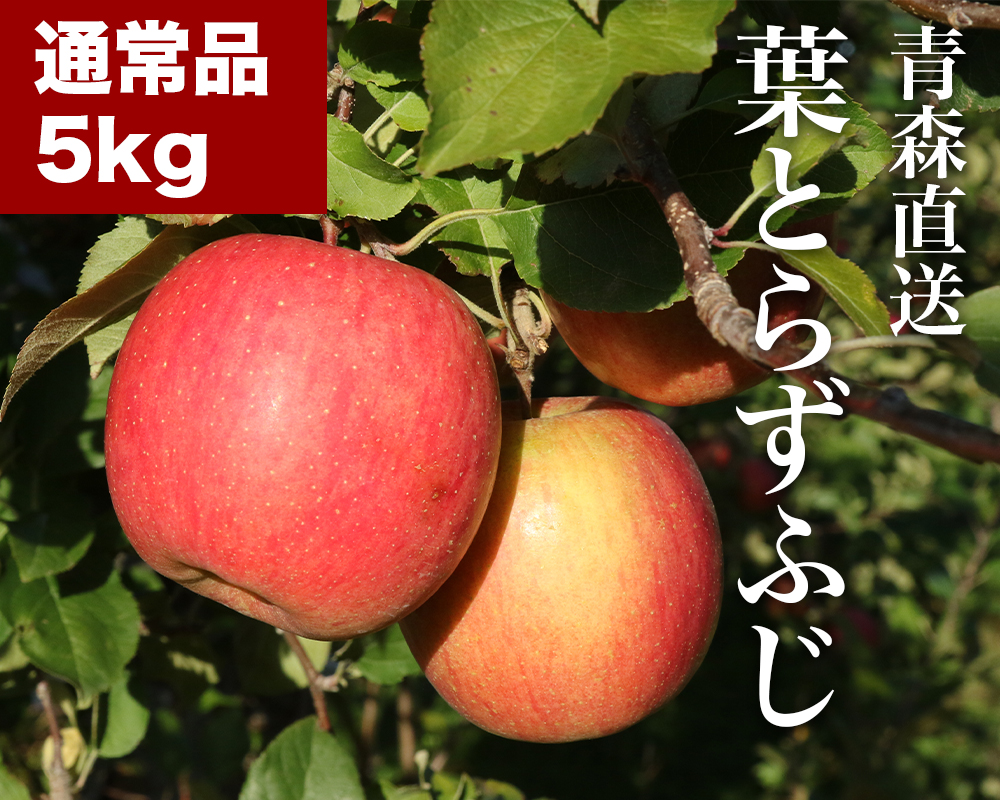 RED APPLE　【青森直送 12月上旬より出荷】葉とらずふじ　5kgKV