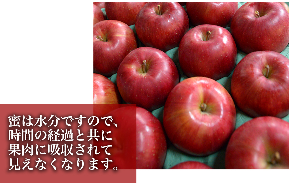 RED APPLE　【青森直送 12月上旬より出荷】葉とらずふじ　5kg_特徴