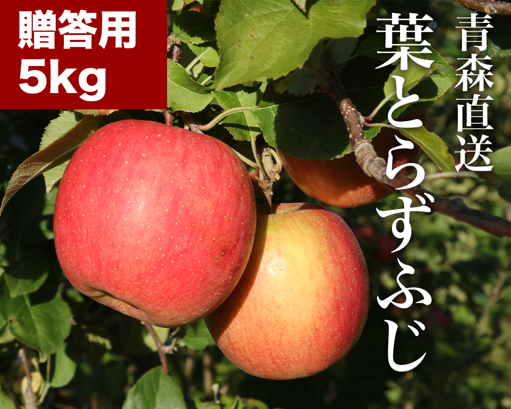 RED APPLE　【青森直送 12月上旬より出荷】葉とらずふじ　贈答用　5kgKV