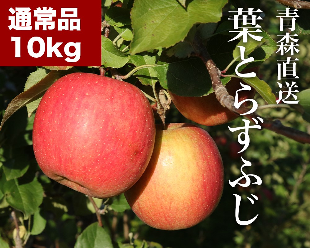 RED APPLE　【青森直送 12月上旬より出荷】葉とらずふじ　10kgKV