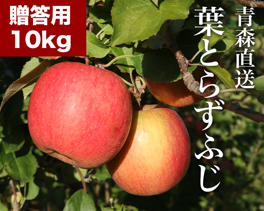 RED APPLE　【青森直送 12月上旬より出荷】葉とらずふじ　贈答用　5kgKV