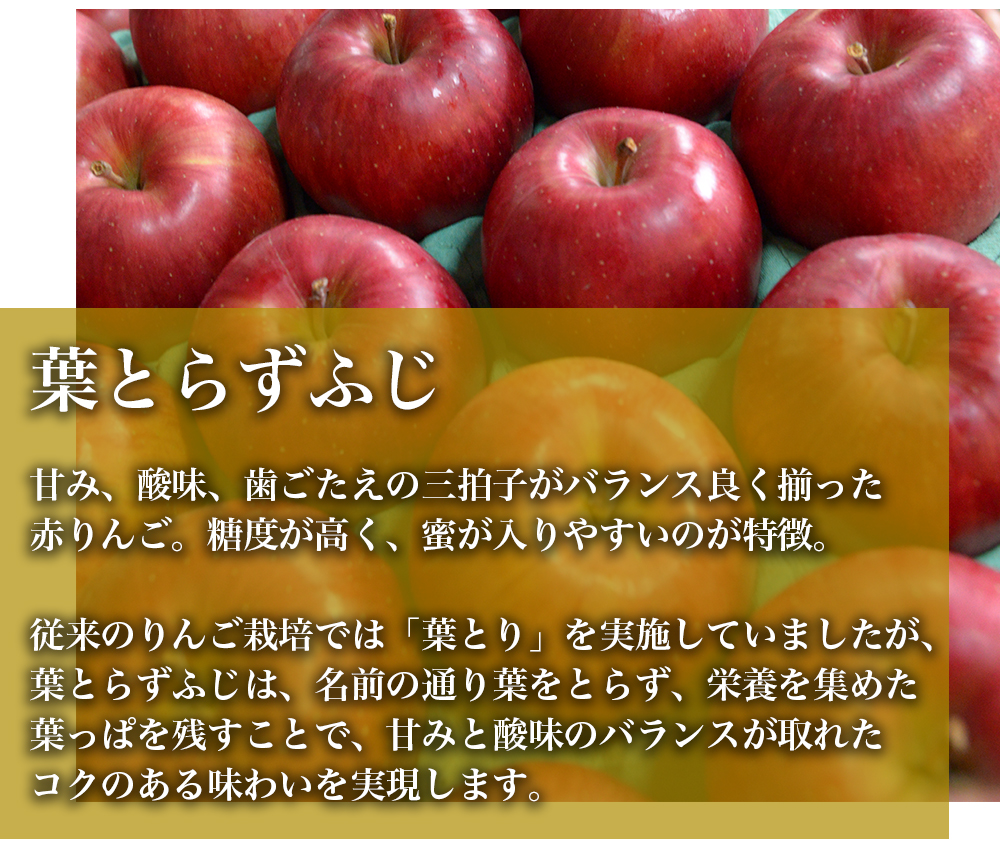 RED APPLE　【青森直送 12月上旬より出荷】ふじ王林ミックス　5kg_特徴