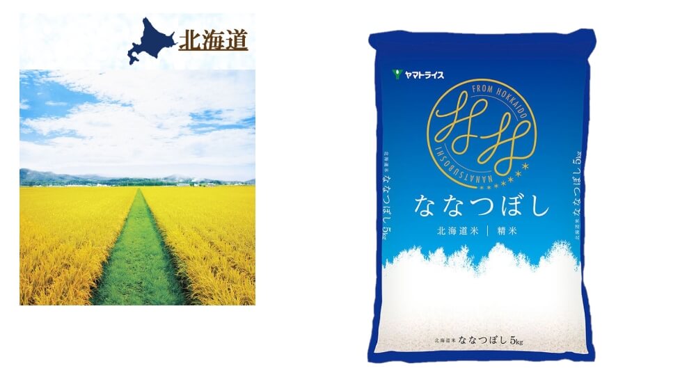 令和7年産】ヤマトライス 北海道産 ななつぼし 20kg(5kg×4袋)｜うさ