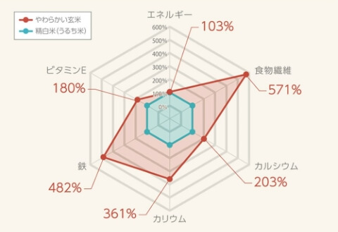 商品の特徴