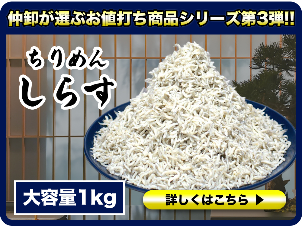 仲卸が選ぶお値打ち商品シリーズ第3弾！！ちりめんしらす1kg