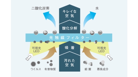 商品の特徴