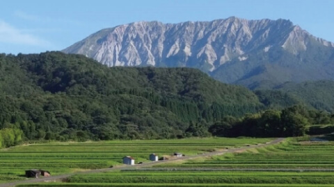 ライスフレンド 鳥取県産 大山町限定 きぬむすめ (JA鳥取西部) 5kg(5kg×1袋)｜宇佐美鉱油の総合通販サイトうさマート