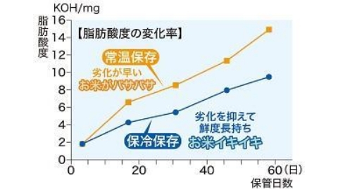 商品の特徴