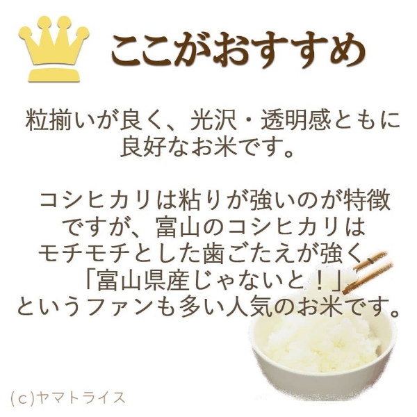 令和6年産】ヤマトライス 富山県産 無洗米こしひかり 20kg(5kg×4