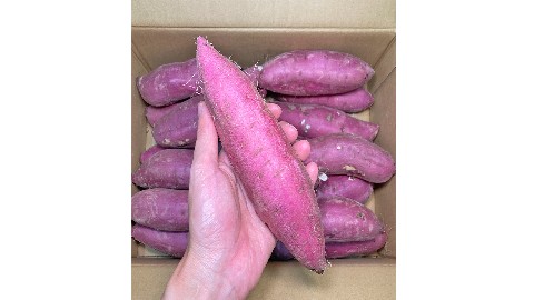 Ｎさま専用ページ♡紅はるか 茨城県産新物『紅はるか』Mサイズ18本（4） - メルカリ