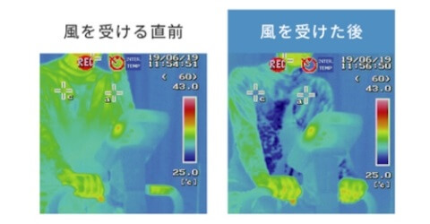 商品の特徴