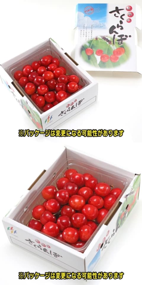鮮やかな紅色】さくらんぼ 甘味と酸味のバランス 佐藤錦 さくらんぼの 
