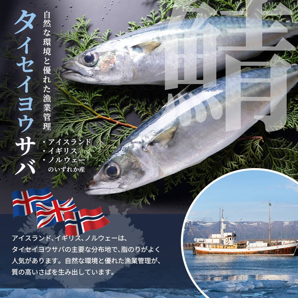 訳アリ】骨取り無塩サバフィーレ 2kg(1kg×2) 約14枚~32枚|うさ 訳アリ】骨取り無塩サバフィーレ 2kg(1kg×2) 約14枚~32枚|うさ