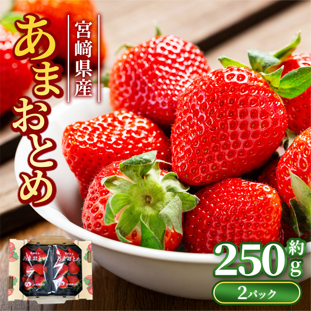 宮崎県産】あまおとめ 2~4L 約250g×2パック|うさマートジャパン 宮崎県産】あまおとめ 2~4L 約250g×2パック|うさマートジャパン