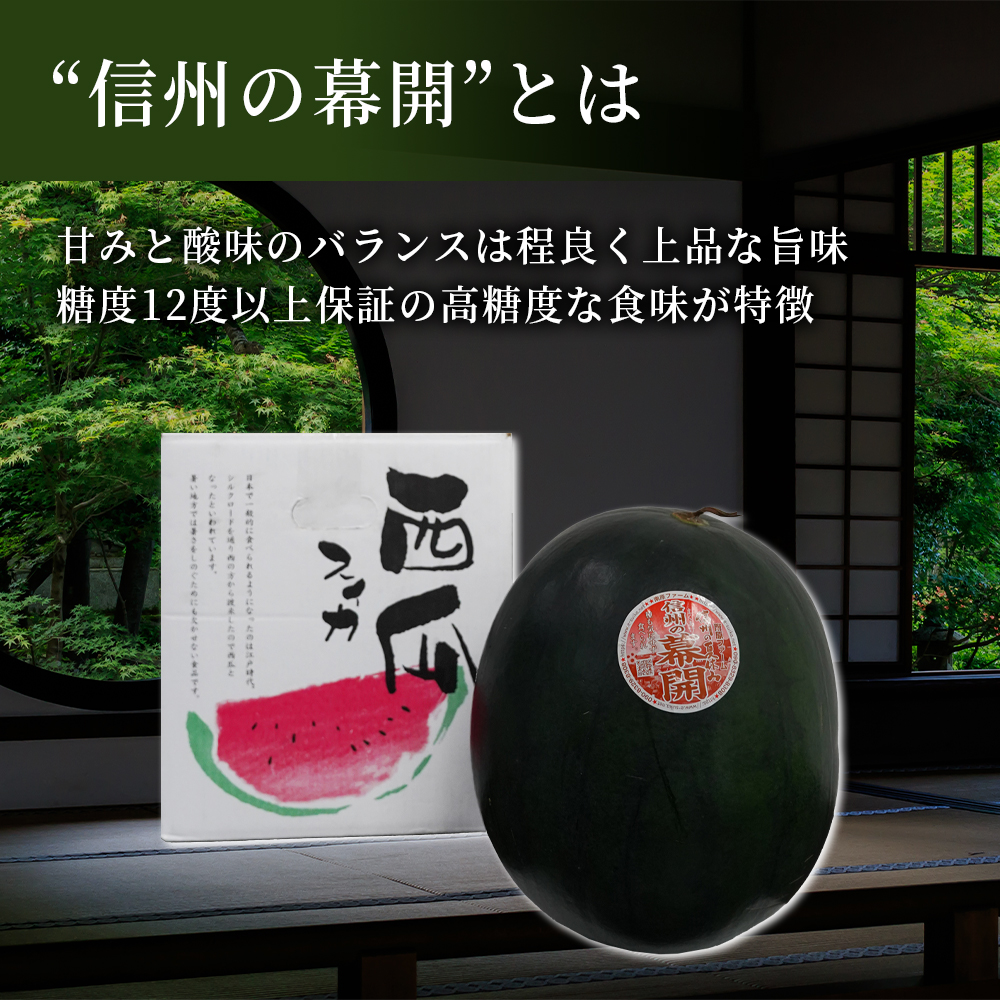 7月下旬出荷】糖度12度以上保証！「信州の幕開スイカ(ピノ・ダディ)」2