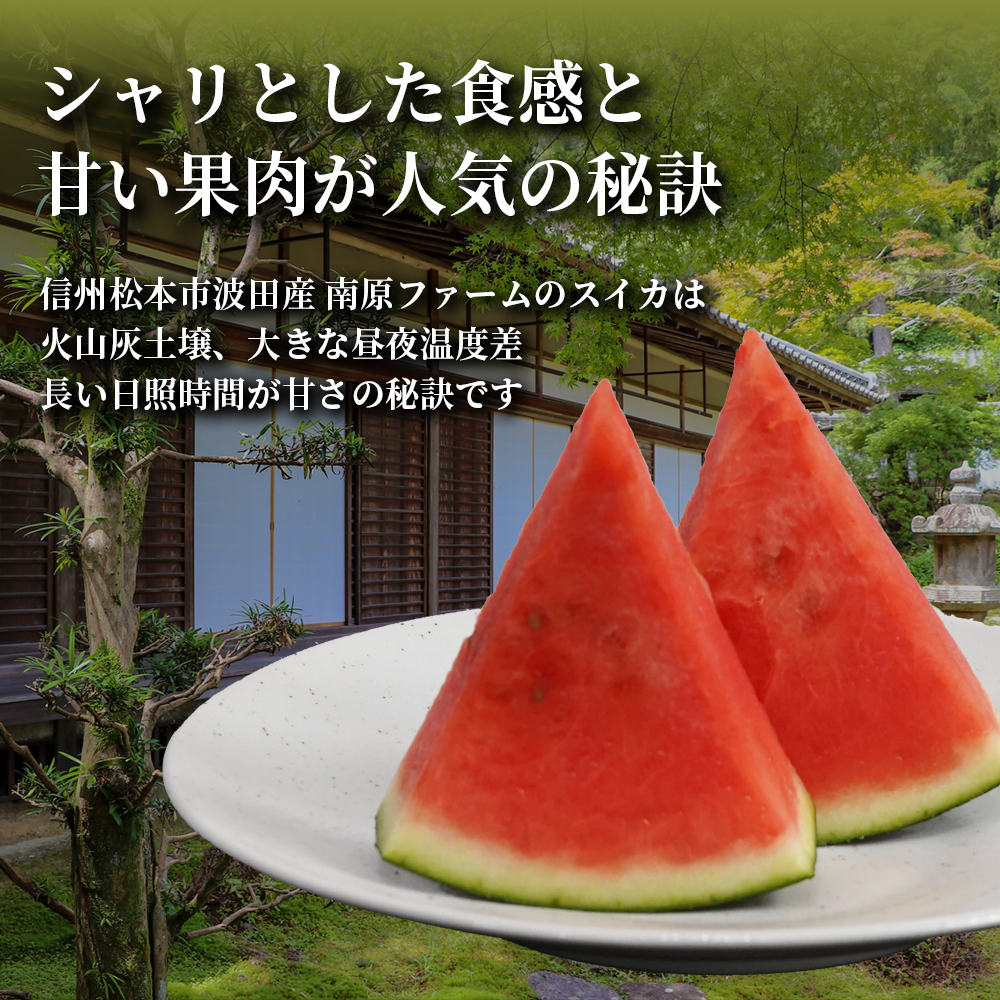 7月下旬出荷】糖度12度以上保証！「信州の幕開スイカ(ピノ・ダディ)」2