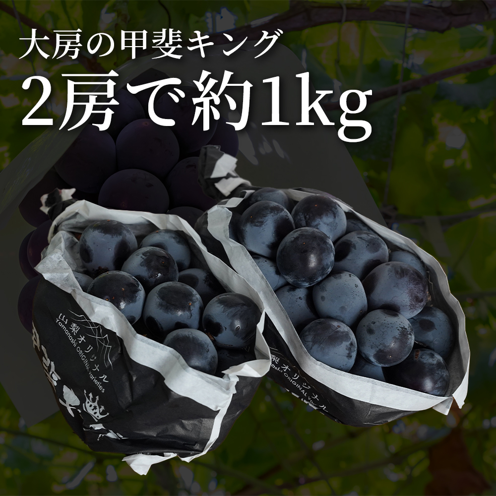 山梨県の新品種】甲斐キング 2房 約1kg 種無し｜うさマートジャパン
