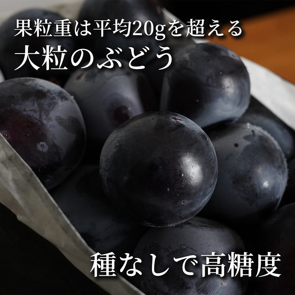 山梨県の新品種】甲斐キング 2房 約1kg 種無し｜うさマートジャパン
