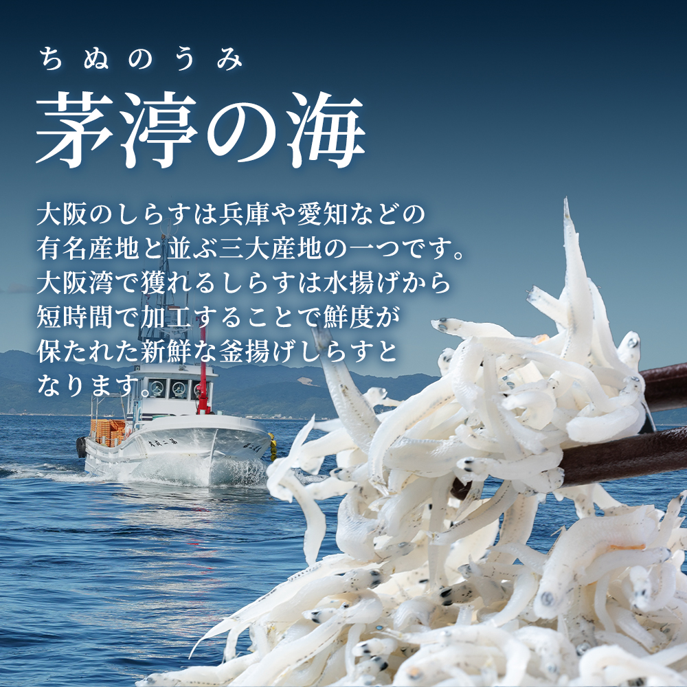 極上】大阪産 釜揚げしらす 500g（250g×2）しらす丼タレ4個付き 冷蔵
