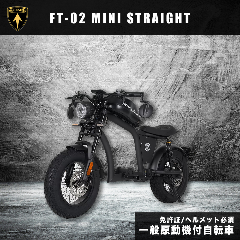西濃運輸営業所止め・個人宅配送不可】MANGOSTEEN FT-02 MINI T字型