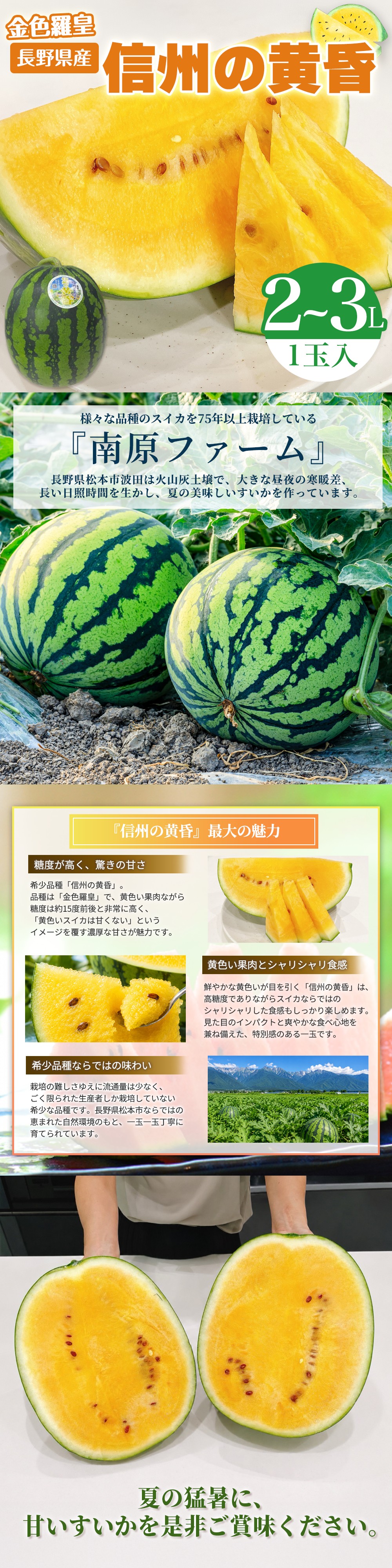 糖度15金色羅皇 2玉セット 希少な黄色果肉スイカ 食品
