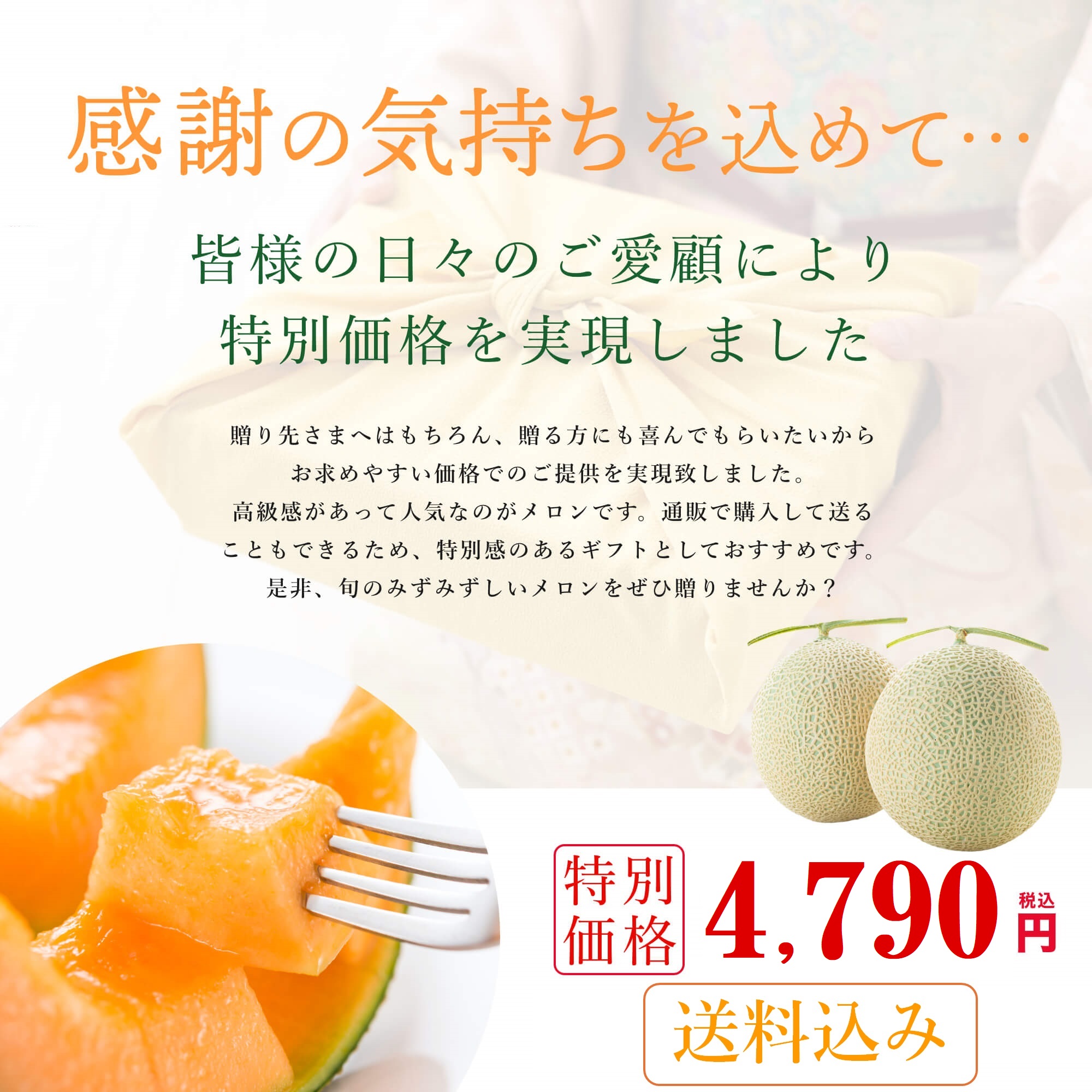メロン 出荷間近】北海道産 訳あり らいでんメロン 2玉 (青肉/ツル無し