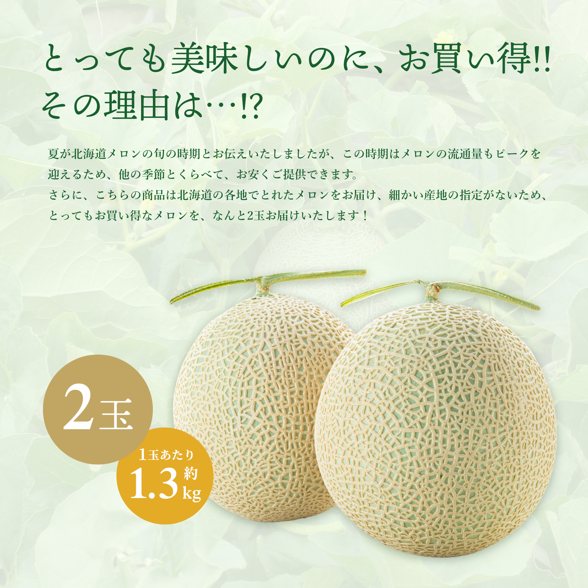 メロン お中元 メロン 北海道産 富良野 赤肉 1玉 特大XLサイズ 約2.0kg