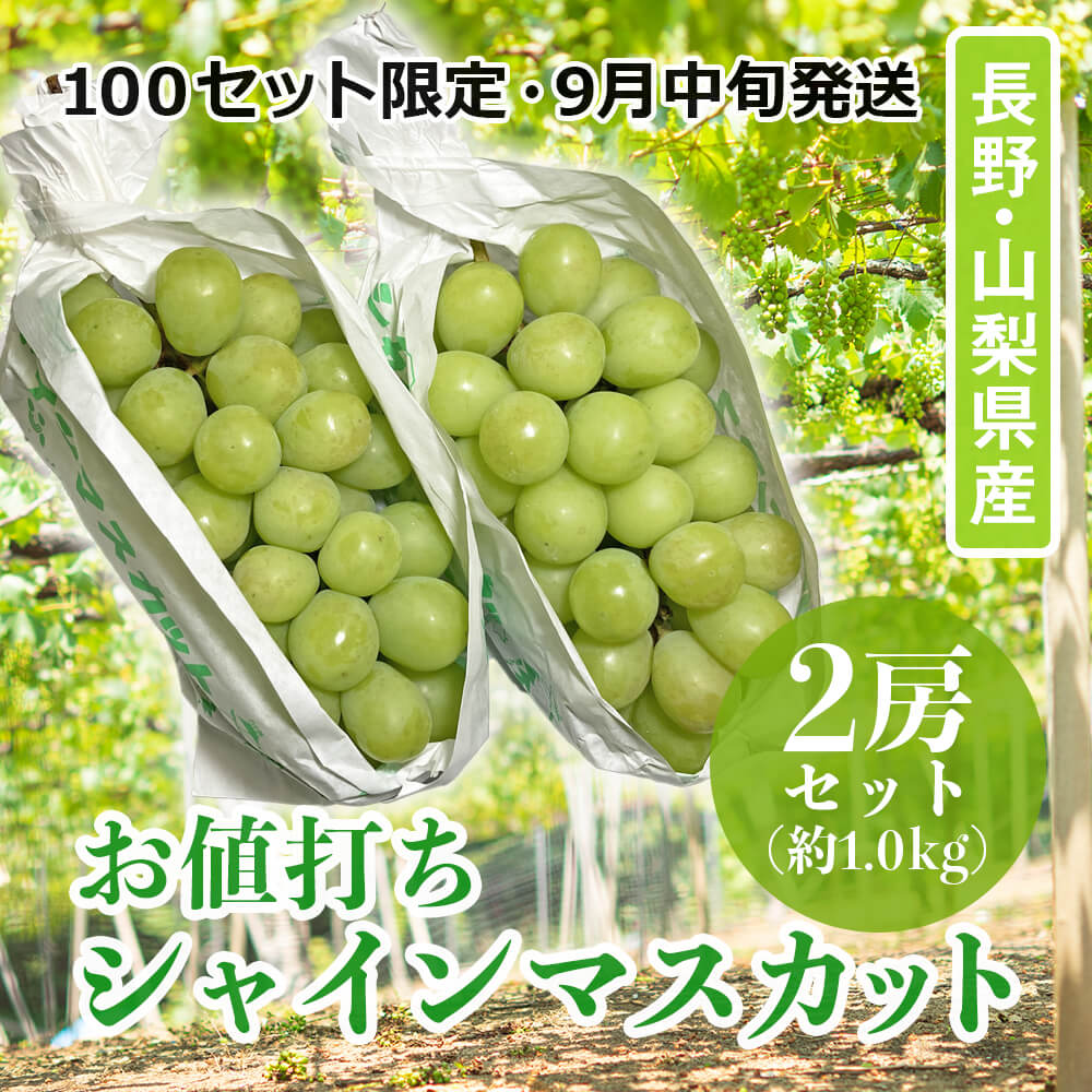 100セット限定・ 9月中旬発送】お値打ち品 シャインマスカット 長野県