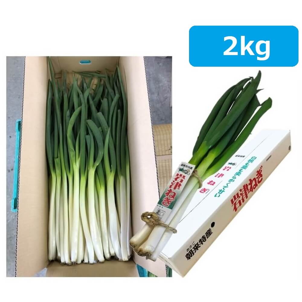 12月1日から出荷開始 期間限定！】岩津ねぎ ご自宅用 2kg 約10～20本｜宇佐美鉱油の総合通販サイトうさマート