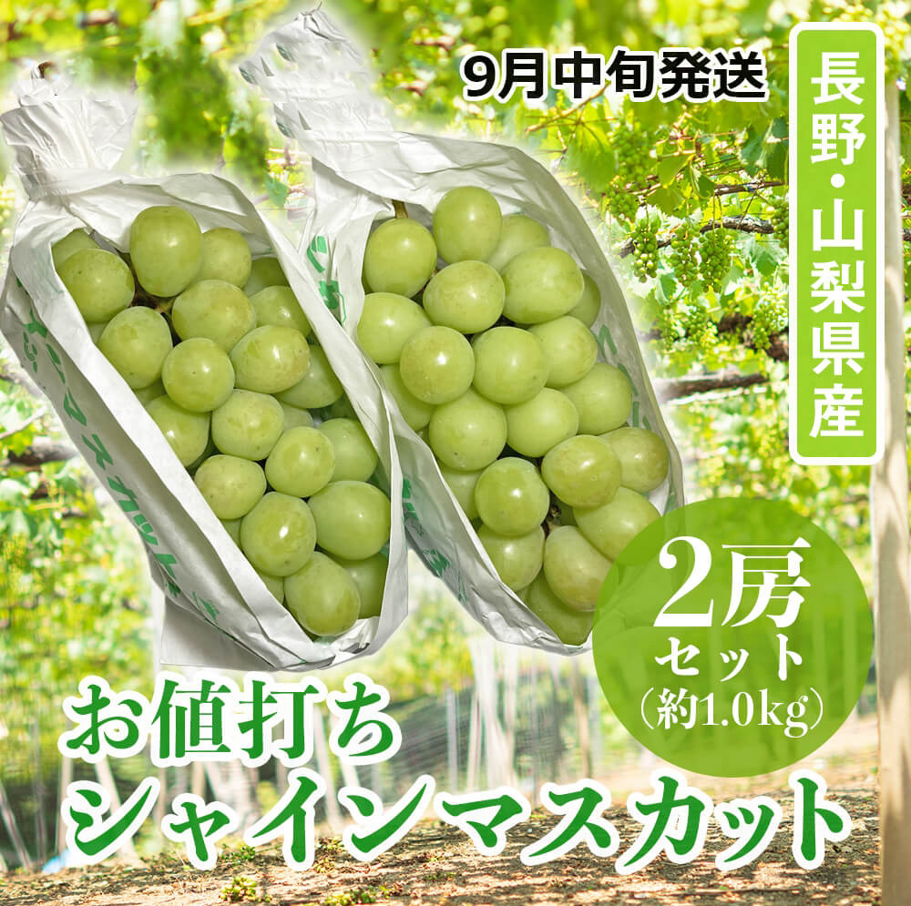 長野県産品　シャインマスカット　約4kg分   【クール便対応】 長野県産品 シャインマスカット 約4kg分 【クール便対応】