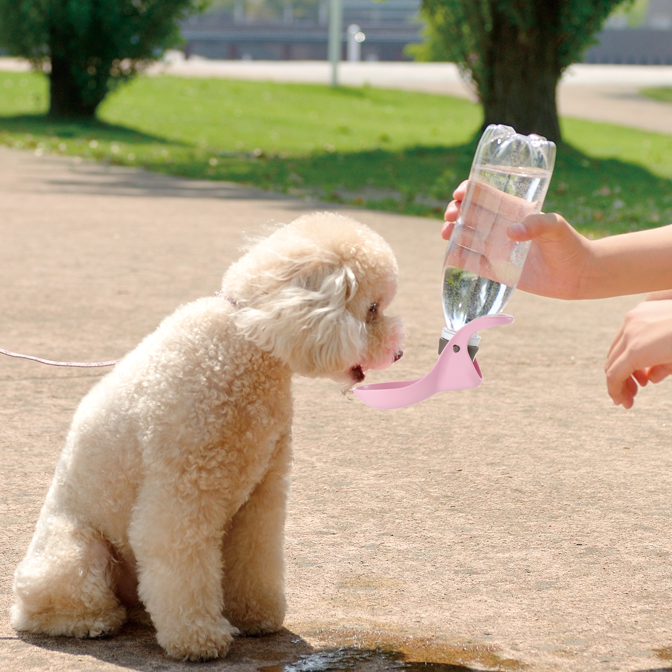 おしっこ跡のマナー洗浄 お散歩中の水分補給に お散歩ハンディシャワー S 宇佐美鉱油の総合通販サイト うさマート