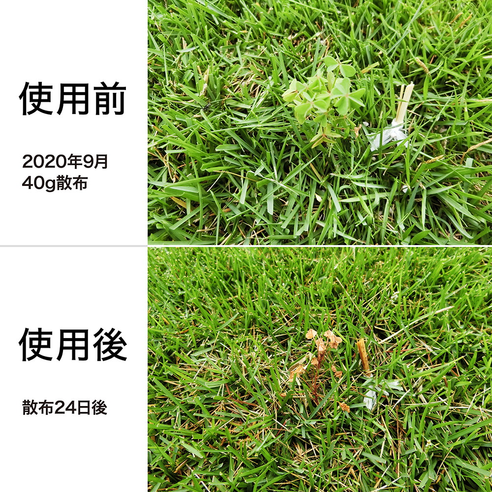 芝生に使える肥料入り除草剤 レインボー薬品 シバキープ プラスv 1kg 宇佐美鉱油の総合通販サイト うさマート